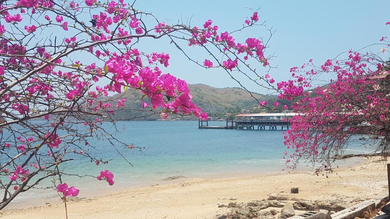Cerrito Tropical Eco Lodge Taboga Εξωτερικό φωτογραφία